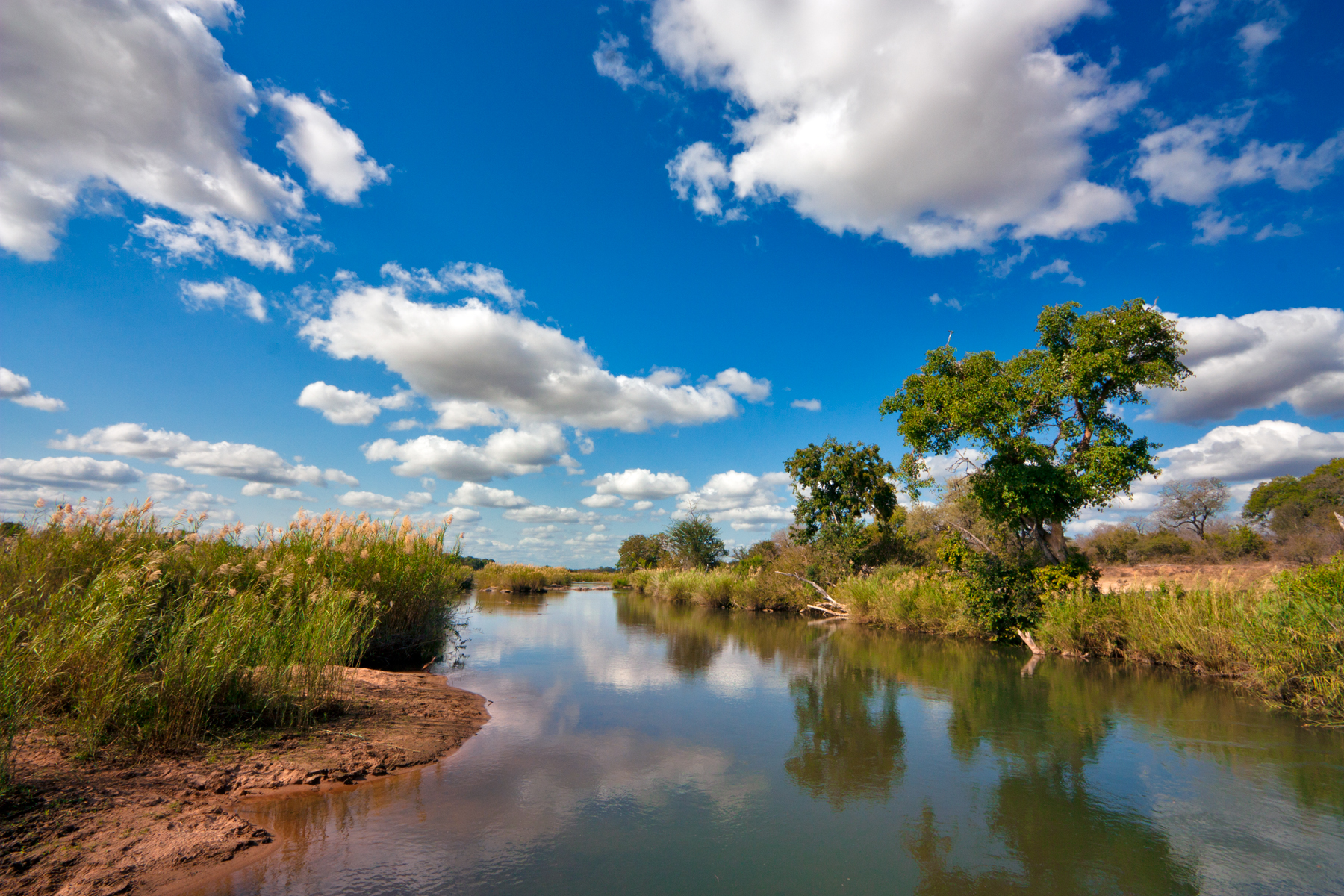 Kruger National Park