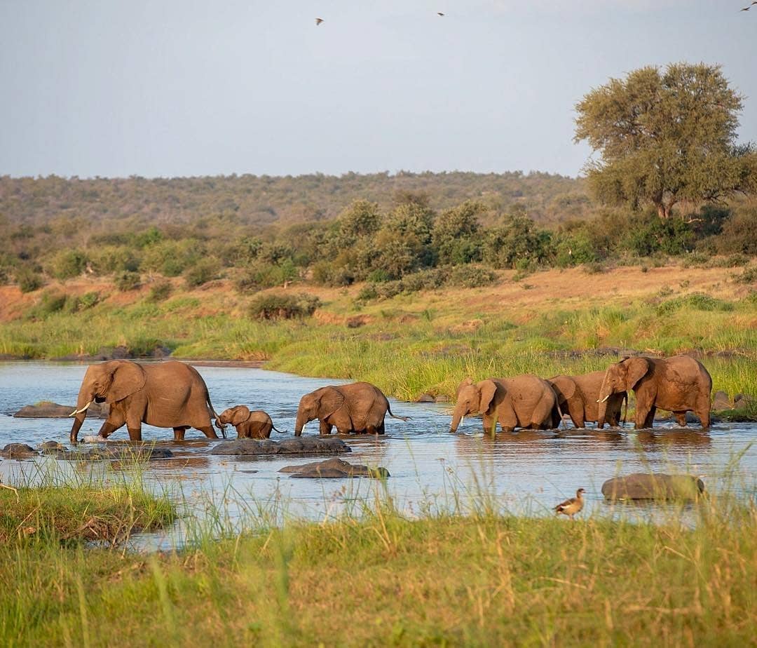 Wildlife Photo 4